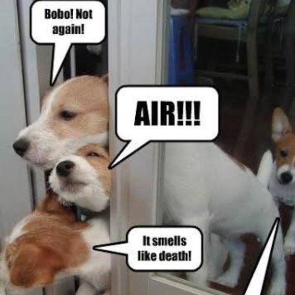 😁 Funnies to Bring a Laugh and Joy to your Day! 😁 - Picture 12 of 15